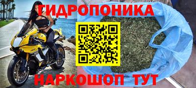 таблы Бийск
