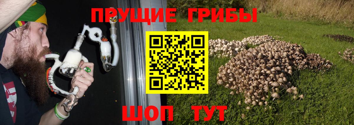 Галлюциногенные грибы мицелий Златоуст
